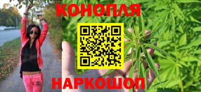 дживик Гай