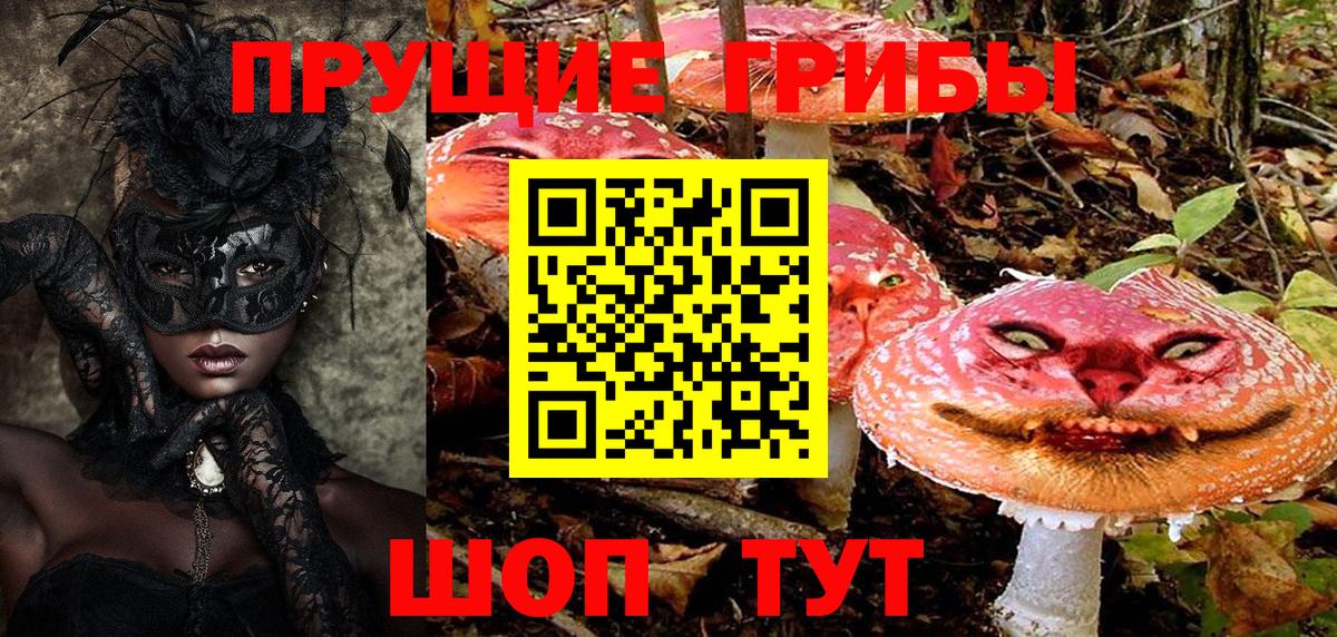 Псилоцибиновые грибы MAGIC MUSHROOMS Губкинский